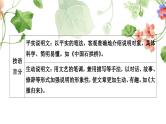 中考语文复习说明文阅读文体知识梳理教学课件
