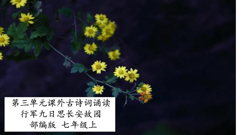 七年级上册第三单元课外古诗词 行军九日思长安故园 课件+教案+素材01