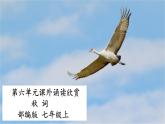 七年级上册第六单元课外古诗词 秋词（其一） 课件+教案