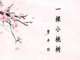 19《一棵小桃树》课件-2020-2021学年部编版语文七年级下册