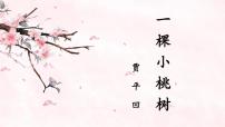 人教部编版七年级下册一棵小桃树课堂教学ppt课件