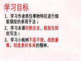 19《一棵小桃树》课件-2020-2021学年部编版语文七年级下册