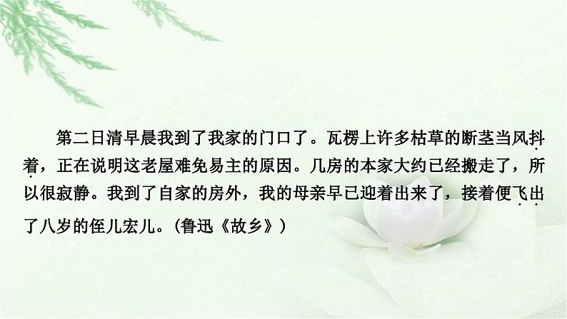 中考语文复习写作第四讲文采飞扬灼灼生华——语言要美教学课件02