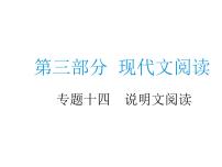 中考语文二轮复习专题课件：专题十四  说明文阅读 (含答案)