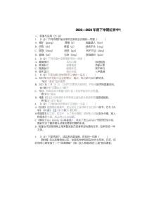 黑龙江省哈尔滨市虹桥初级中学校2022-2023学年（五四学制）九年级下学期3月考语文试题（无答案）