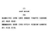 期末复习-专题八　古诗文阅读 讲练课件—2020-2021学年九年级下册语文部编版