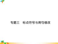 【专项练习】人教版语文七年级下册期末复习课件专题3  标点符号与病句修改（无答案）