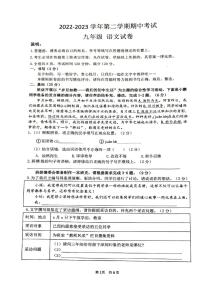 广东省深圳市龙岗区深圳中学龙岗学校2022-2023学年九年级下学期期中语文试题
