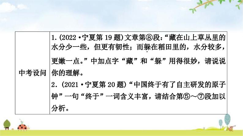 中考语文复习考点2词语理解与赏析教学课件第3页