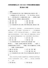 天津市滨海新区三年（2020-2022）中考语文模拟卷分题型分层汇编-02词语