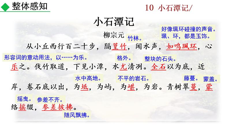 10+小石潭记课件PPT08