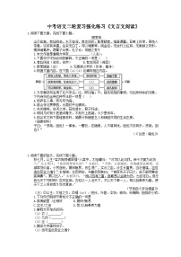 中考语文二轮复习强化练习《文言文阅读》（含详解）