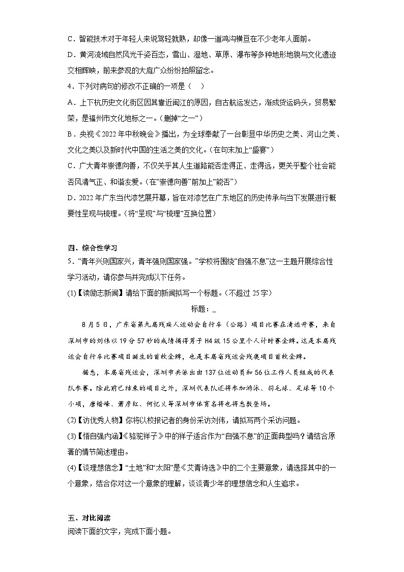 2023年广东省汕头市澄海区中考一模语文试题（含答案）02