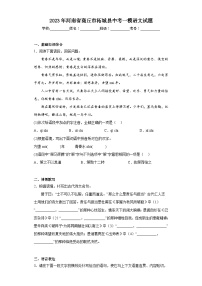 2023年河南省商丘市柘城县中考一模语文试题（含答案）