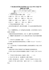 广西壮族自治区南宁市武鸣县2022-2023学年八年级下学期语文期中测试卷