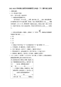浙江省绍兴市柯桥区2022-2023学年九年级下学期期中语文试题