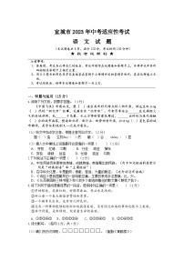 2023年湖北省襄阳市宜城市中考适应性考试语文试题（含答案）