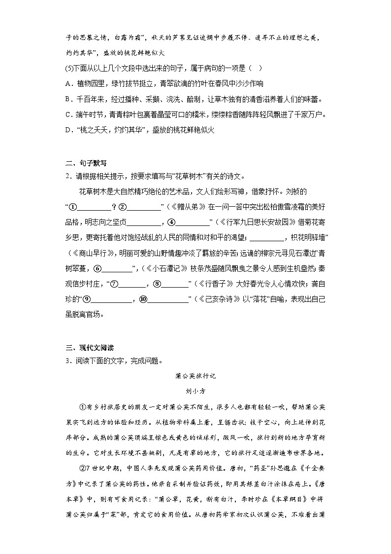 2023年广西壮族自治区南宁市中考模拟语文试题（含答案）02