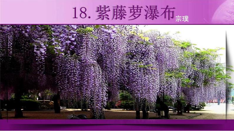 第18课《紫藤萝瀑布》课件第1页
