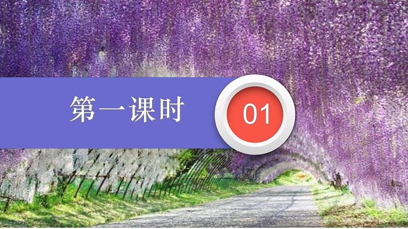 第18课《紫藤萝瀑布》课件第3页