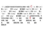 中考语文二轮复习讲练测--专题01 字音字形（复习课件）