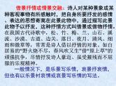 2023年中考语文二轮专题复习：古诗词表达技巧 课件