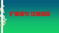 2023年中考语文三轮冲刺专题：扩展语句+压缩语段课件