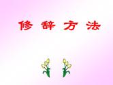 修辞手法及古诗例说   课件  2023年中考语文二轮专题