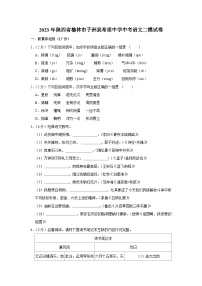2023年陕西省榆林市子洲县希望中学中考语文二模试卷(含答案)