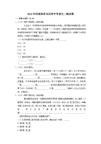 2023年河南省驻马店市中考二模语文试题
