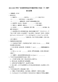 广东省深圳市盐田外国语学校2022-2023学年八年级下学期期中语文试卷
