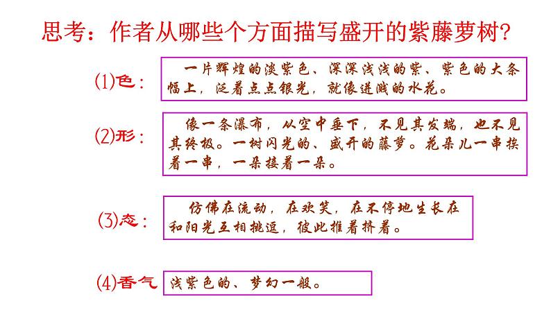 七年级下册《紫藤萝瀑布》课件第7页