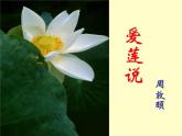 七年级下册《爱莲说》课件