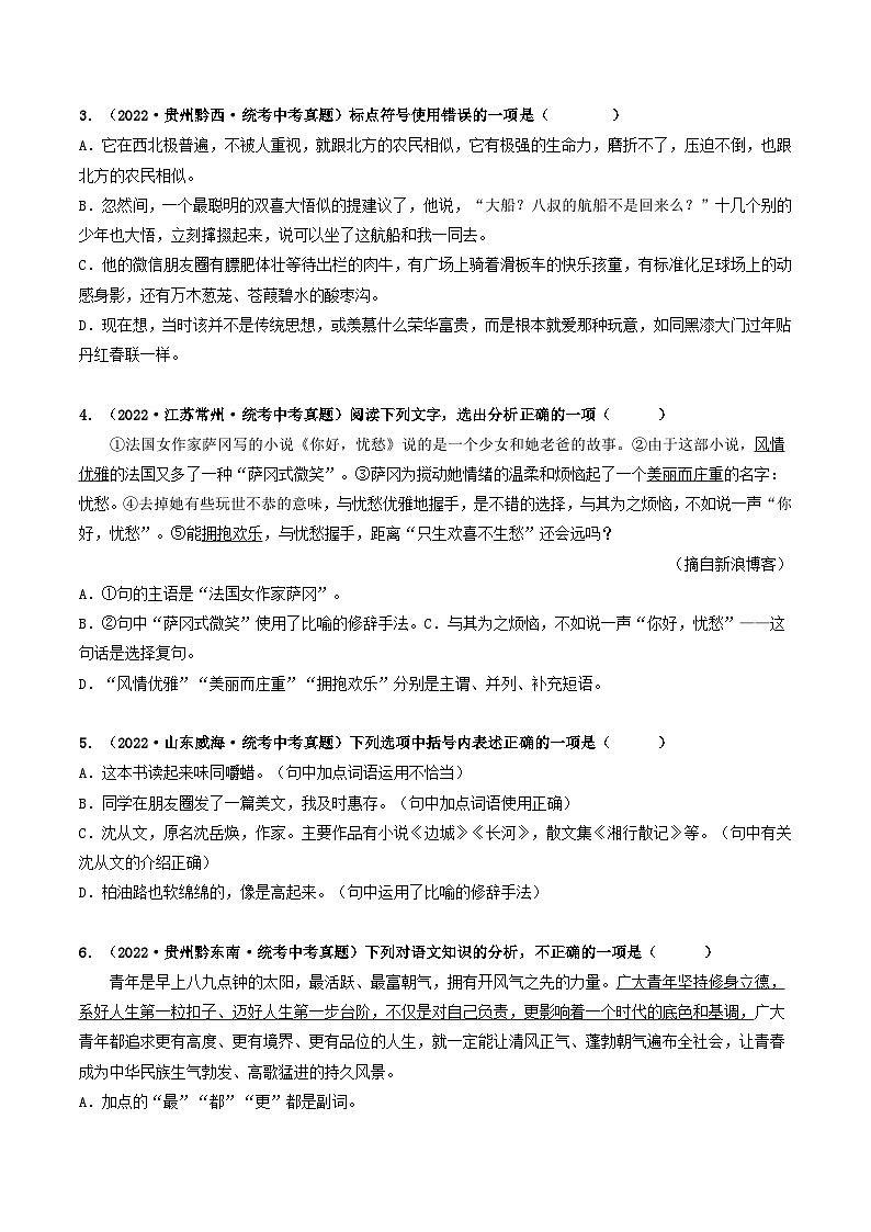 查补易混易错点03 标点与修辞-【查漏补缺】2023年中考语文三轮冲刺过关 试卷02