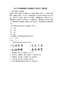 2023年河南省商丘市柘城县中考二模语文试卷（含答案）