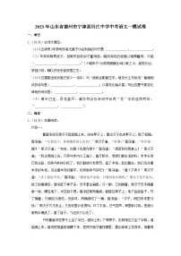 2023年山东省德州市宁津县田庄中学中考语文一模试卷（含答案）