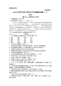2023年山东省枣庄市滕州市中考三模语文试题