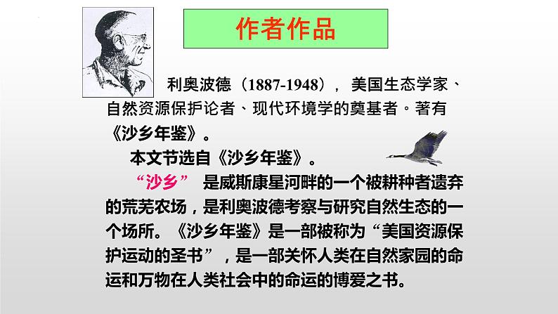 第7课《大雁归来》课件2022—2023学年部编版语文八年级下册第4页