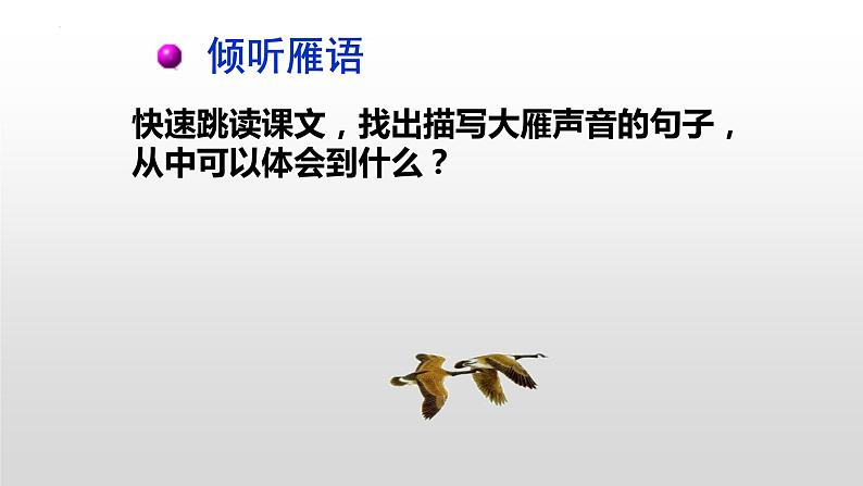 第7课《大雁归来》课件2022—2023学年部编版语文八年级下册第7页