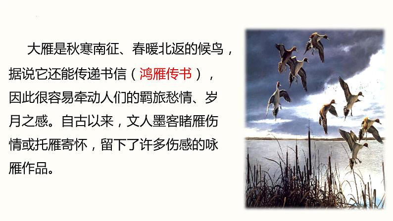 第7课+《大雁归来》课件2022-2023学年部编版语文八年级下册第3页