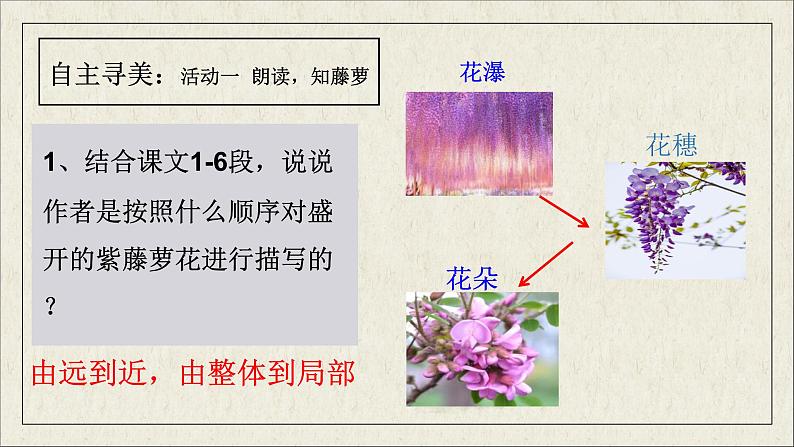 第18课《紫藤萝瀑布》课件 2022-2023学年统编版语文七年级下册第8页