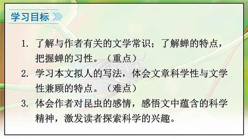 人教版语文8年级上册 第5单元 21 蝉 PPT课件05