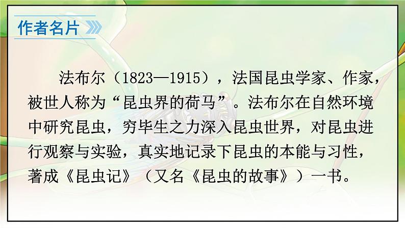 人教版语文8年级上册 第5单元 21 蝉 PPT课件06