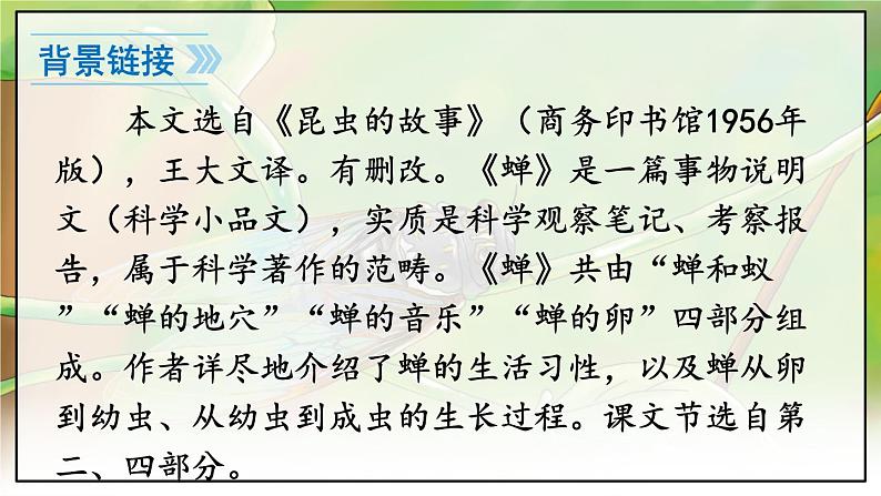 人教版语文8年级上册 第5单元 21 蝉 PPT课件07
