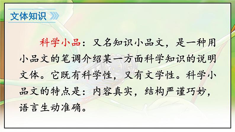 人教版语文8年级上册 第5单元 21 蝉 PPT课件08