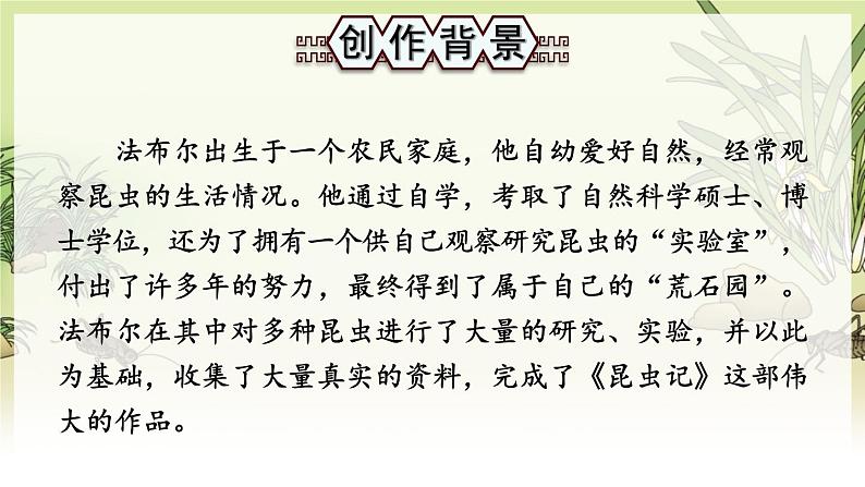 人教版语文8年级上册 第5单元 名著导读《昆虫记》 科普作品的阅读 PPT课件02