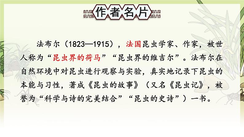 人教版语文8年级上册 第5单元 名著导读《昆虫记》 科普作品的阅读 PPT课件03