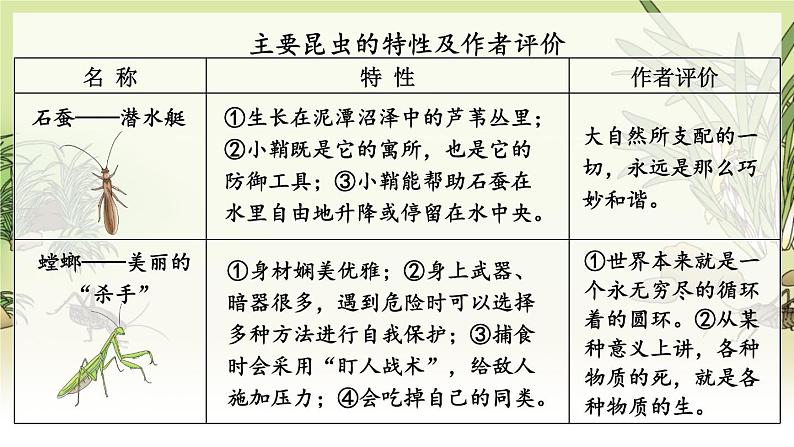 人教版语文8年级上册 第5单元 名著导读《昆虫记》 科普作品的阅读 PPT课件05