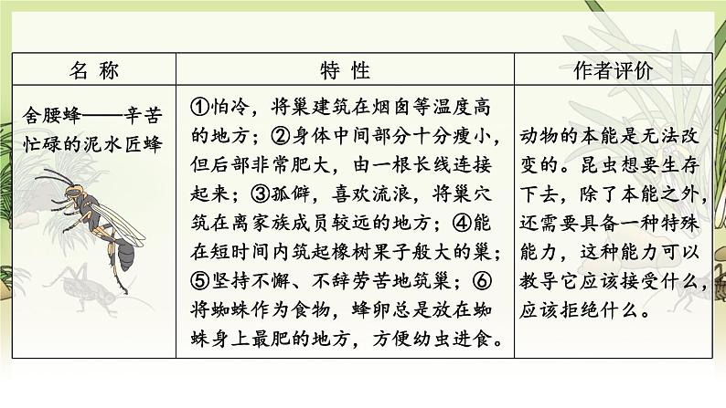 人教版语文8年级上册 第5单元 名著导读《昆虫记》 科普作品的阅读 PPT课件07