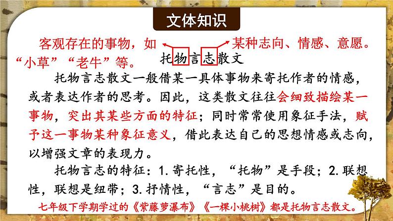 15 白杨礼赞【考点精讲版】第6页